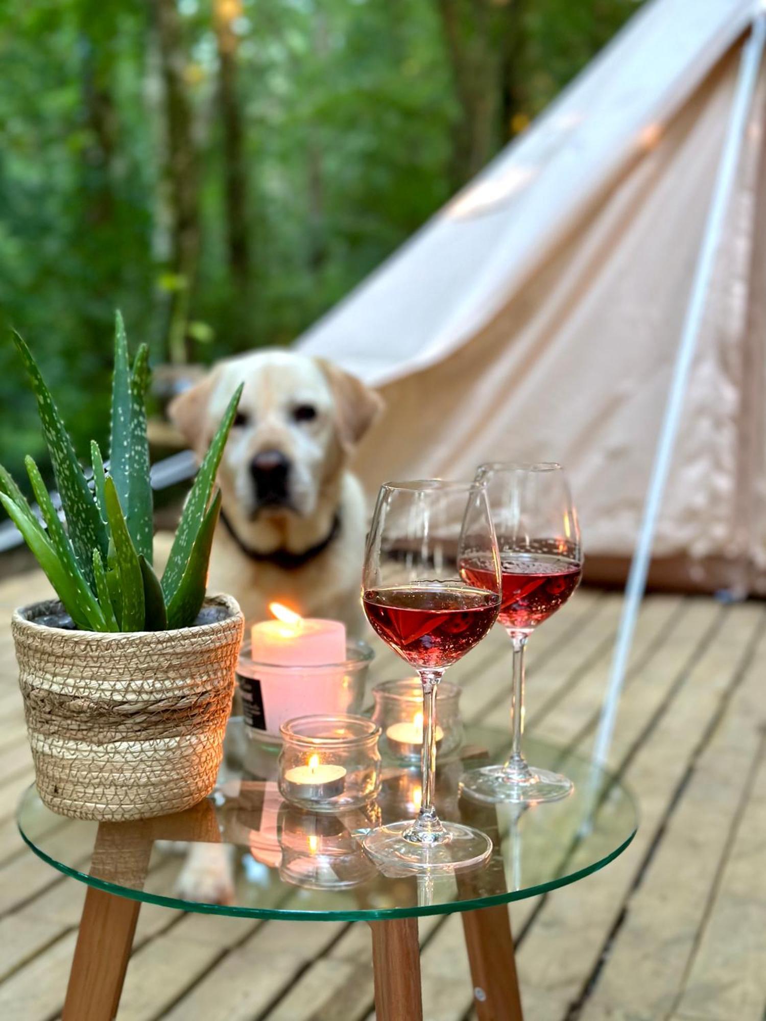 Wild Luxury tent